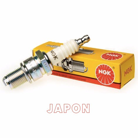 Bujia NGK LFR6AIX11