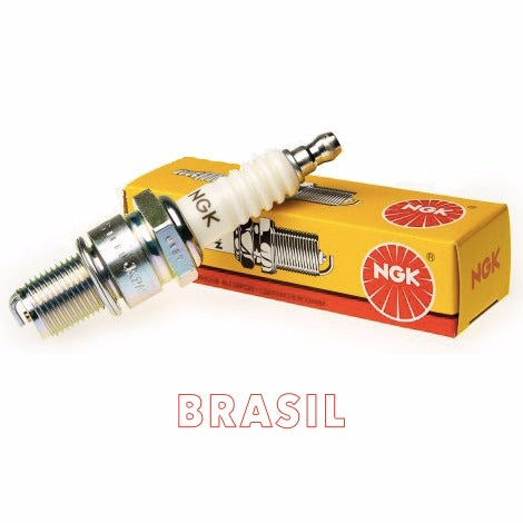 Bujia NGK APR5FS