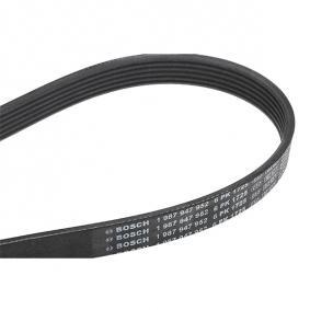 Correa de distribucion Bosch 1 987 947 952