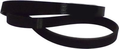 Correa de distribucion SKF 5SK0868
