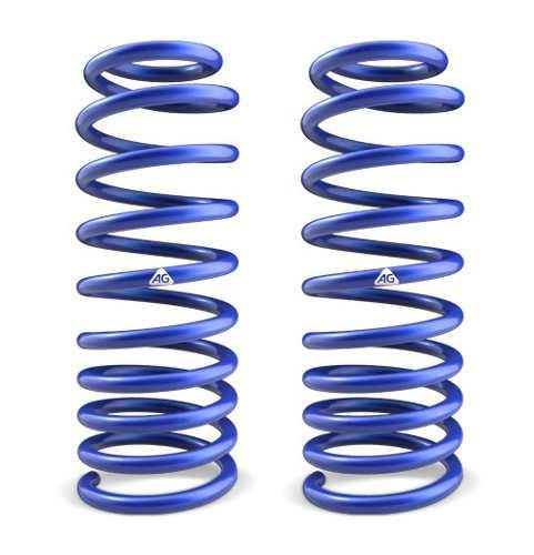 Espiral de suspensión Delantero AG 251159K