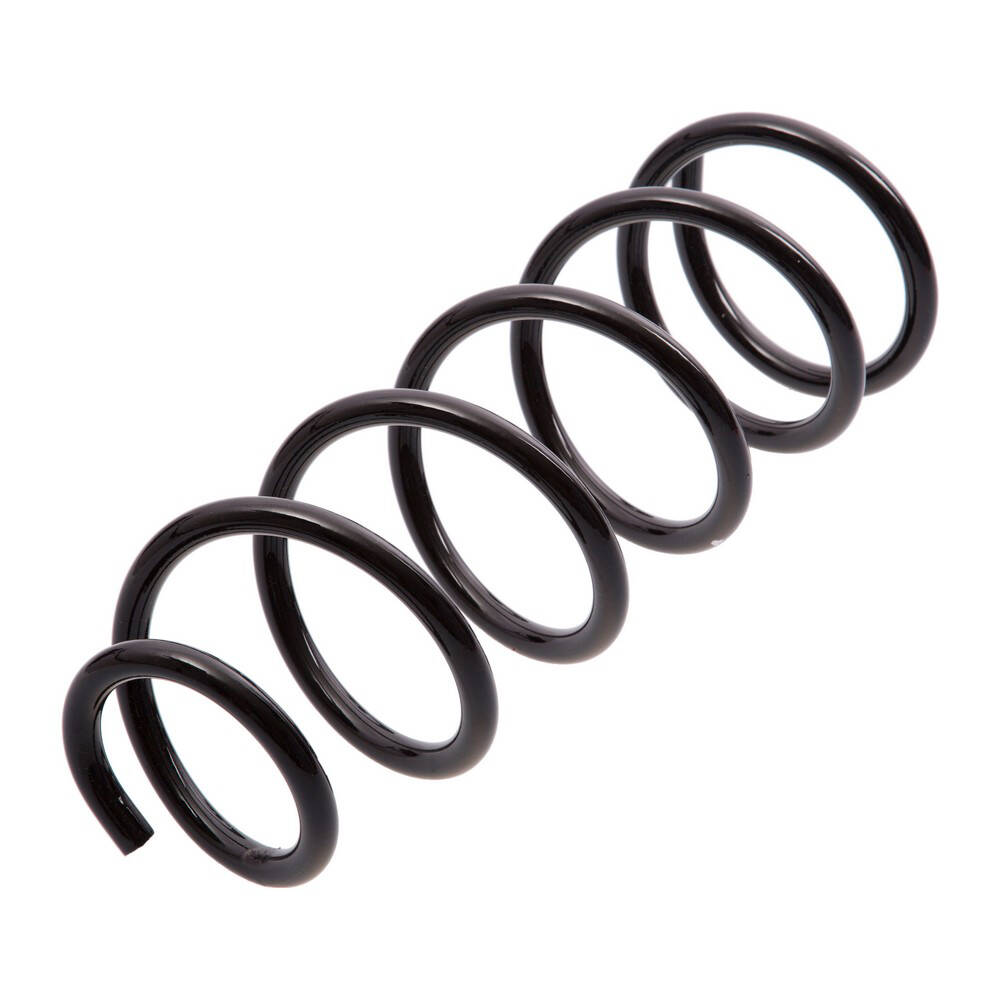 Espiral de suspension Trasero AG 041132TP