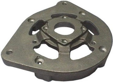 Tapa de alternador Valeo 493808