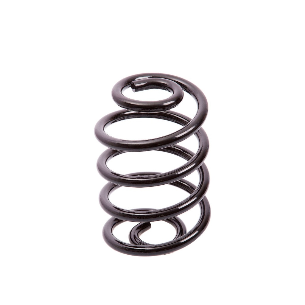 Espiral de suspension Trasero AG 041023TP