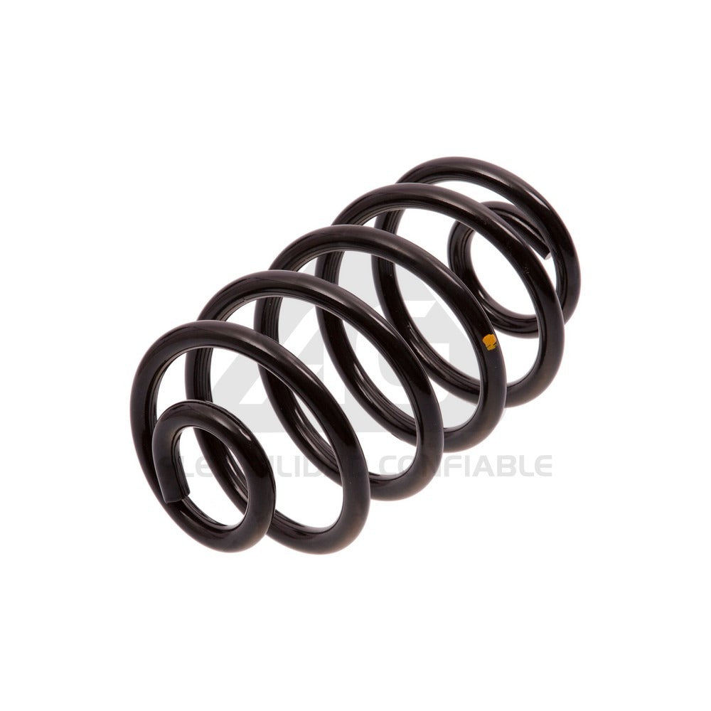 Espiral de suspensión Trasero AG 251178R