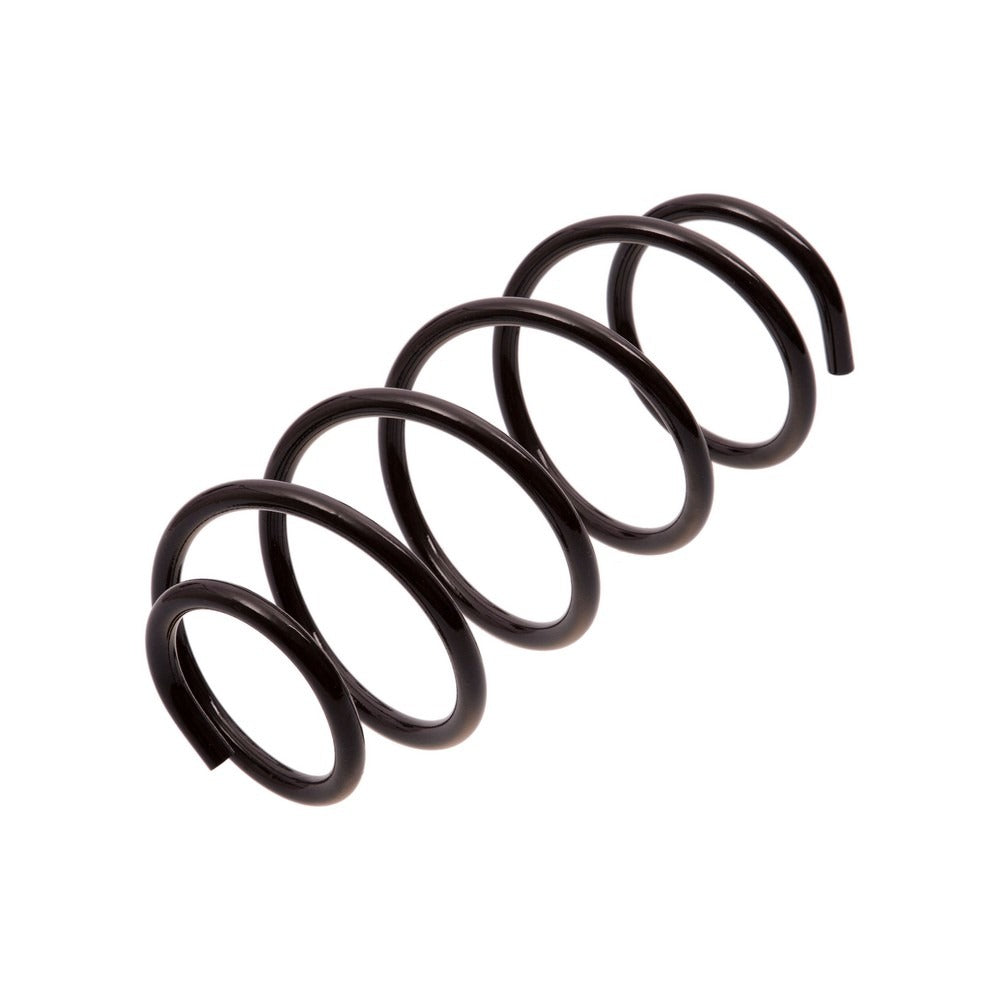 Espiral de suspension Trasero AG 041152TP