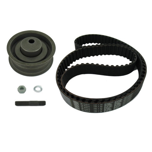 Kit de distribucion SKF VKMA 01011 A