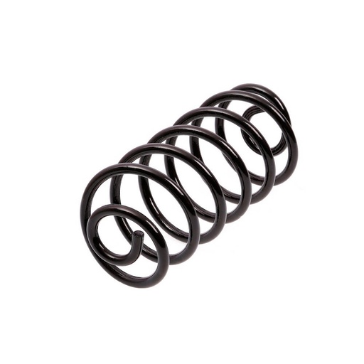 Espiral de suspension Trasero AG 041062TP