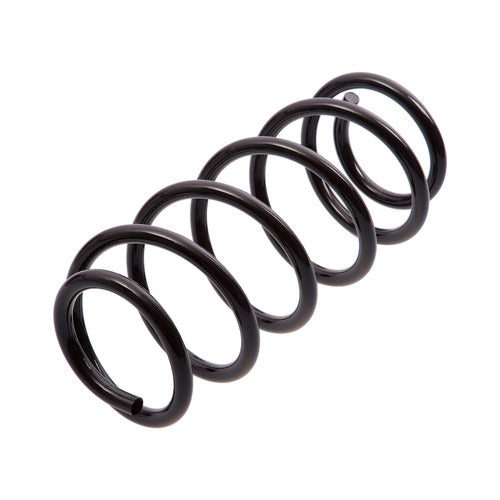 Espiral de suspension Delantero AG 041061R