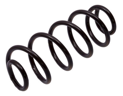 Espiral de suspensión Delantero AG 41163