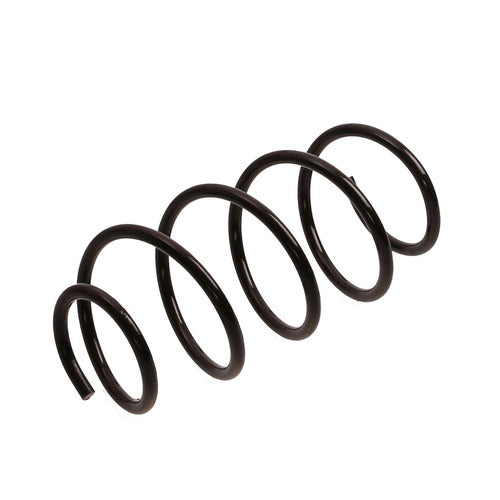 Espiral de suspensión Delantero AG 71125